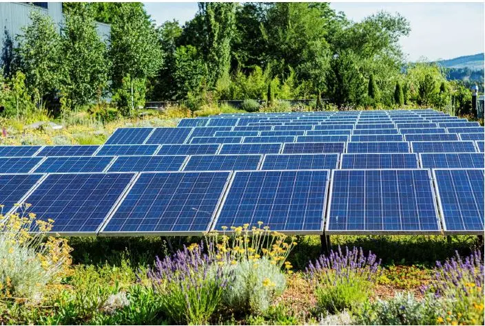 24. Sept 2025: Das EnergieGrünDach